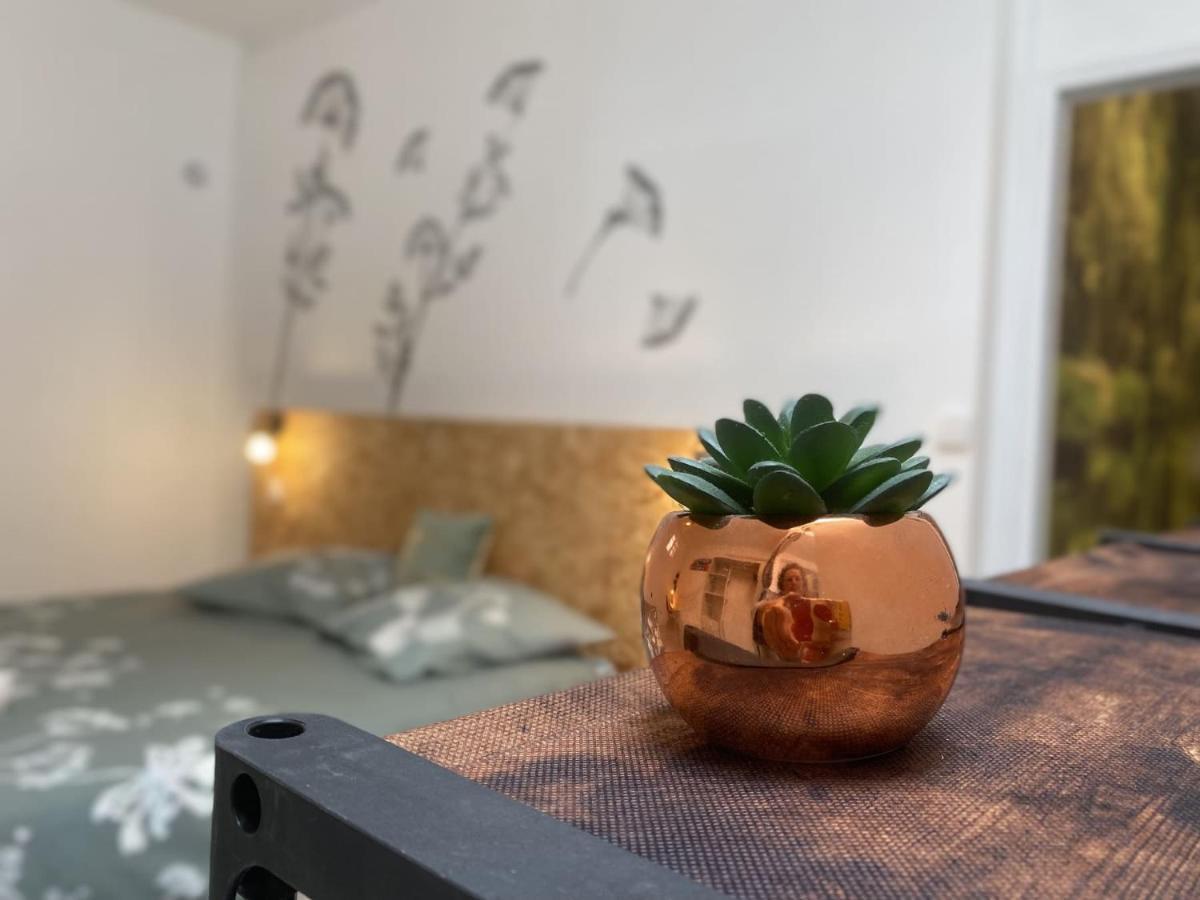 La Maison D'Angelique - Colocation Hoteliere A 150M Gare Tgv- Grande Cuisine Equipee & Salon - Fibre - Netflix Niort Exteriér fotografie